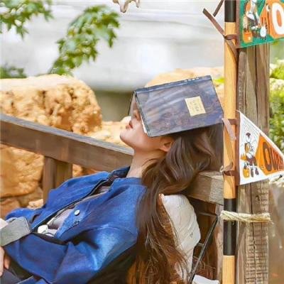 孤国春秋第五季