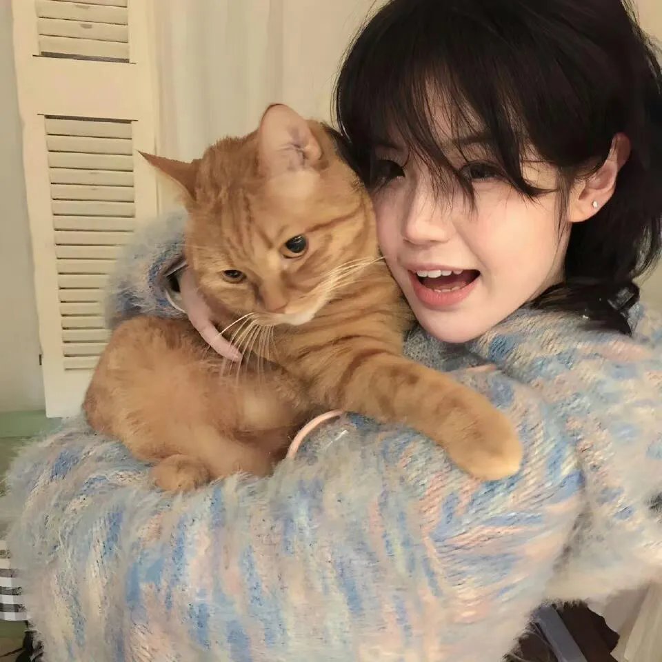 摩尔庄园冰世纪